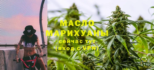 крисы Инта