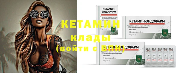 крисы Инта