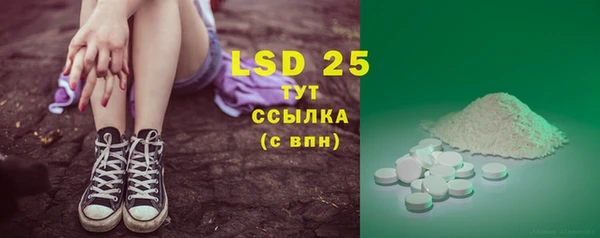 крисы Инта