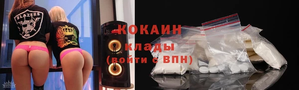 крисы Инта
