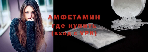 крисы Инта