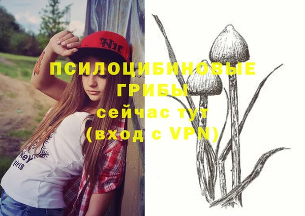 герыч Зеленокумск
