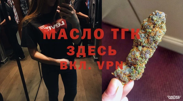 крисы Инта