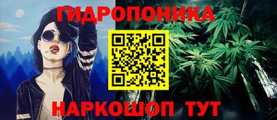 соль ск Гусев