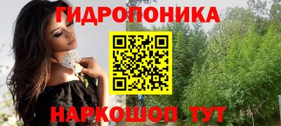 гашик Гусь-Хрустальный