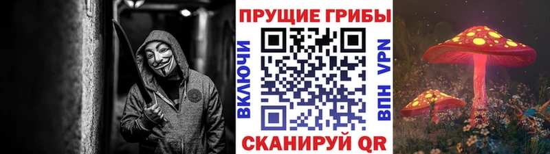 Галлюциногенные грибы мухоморы  продажа наркотиков  Волжский 
