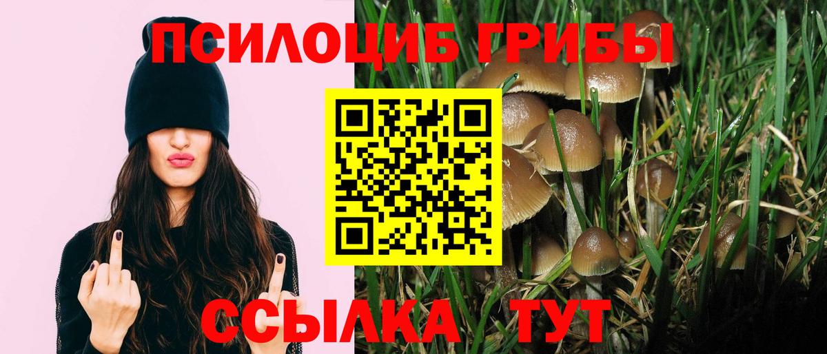 Псилоцибиновые грибы Psilocybine cubensis  Вход с VPN  где купить наркоту  Волжский 